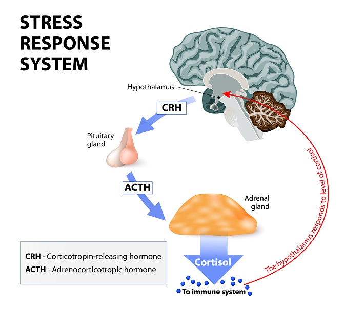 Destressing